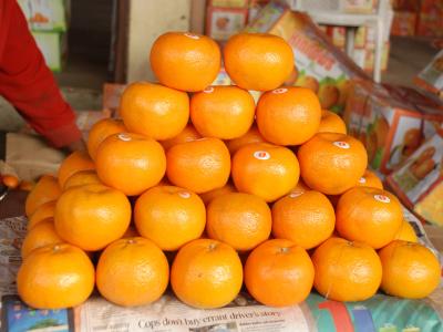 कृषी उत्पादने